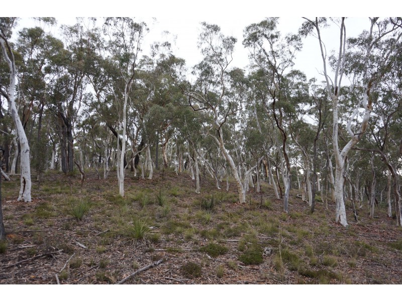 357 Mogo Road Oallen via, Goulburn NSW 2580