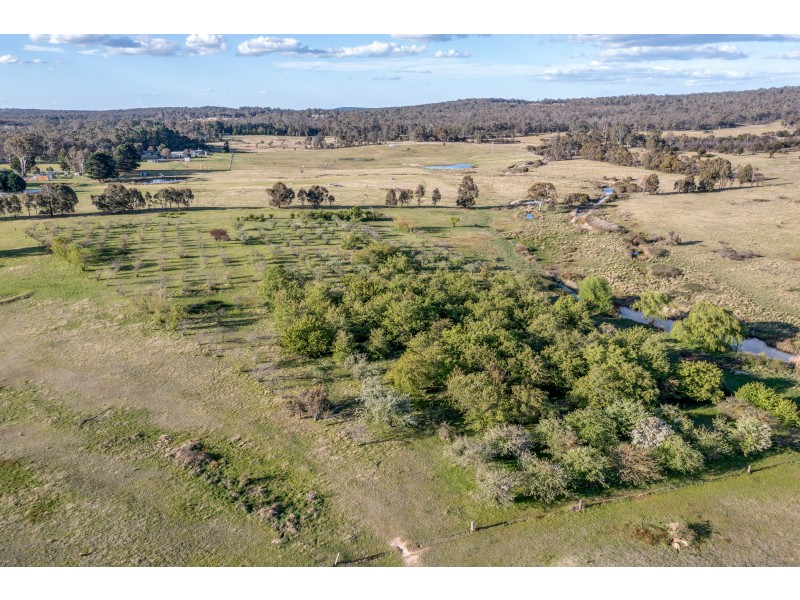 459 Jerrara Road, Marulan NSW 2579