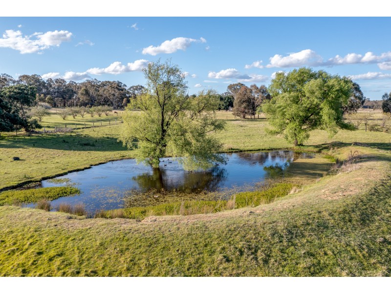 459 Jerrara Road, Marulan NSW 2579
