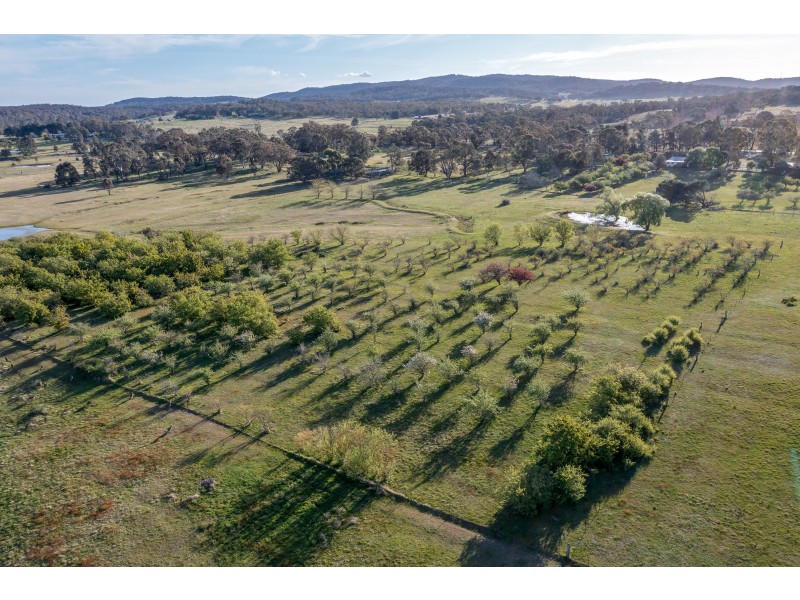 459 Jerrara Road, Marulan NSW 2579
