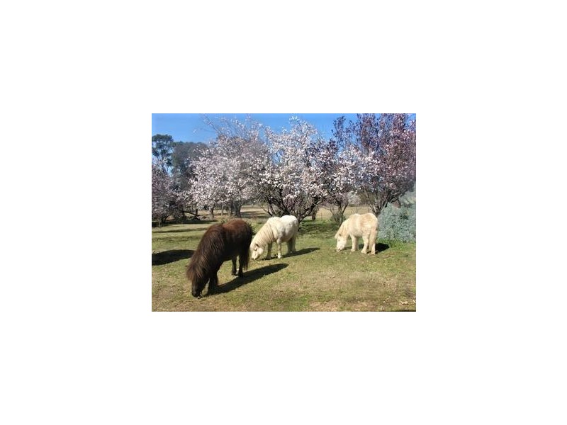 459 Jerrara Road, Marulan NSW 2579