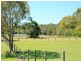 239 Moorindil Street, Tewantin QLD 4565