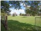 239 Moorindil Street, Tewantin QLD 4565