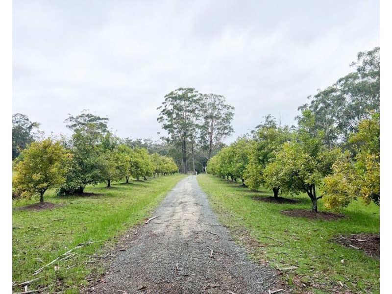 Hallidays Point NSW 2430