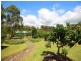 3 Muree Court, Hallidays Point NSW 2430
