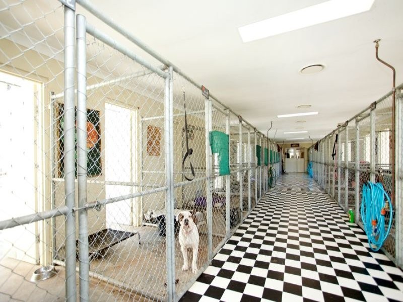 86 James Cowan Road, Krambach NSW 2429