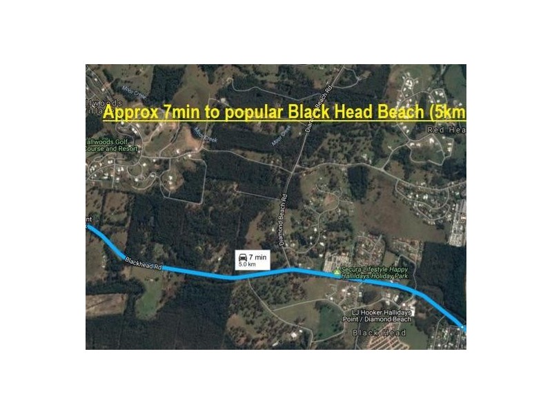 36 Hilltop Parkway, Tallwoods Village NSW 2430