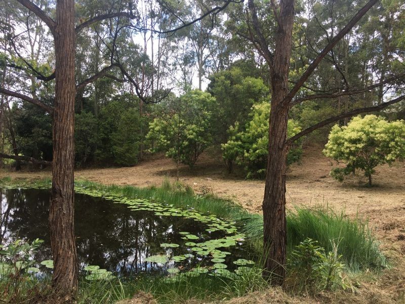 19 Panorama Drive, Diamond Beach NSW 2430