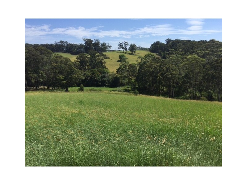 6 Torside Close, Tallwoods Village NSW 2430