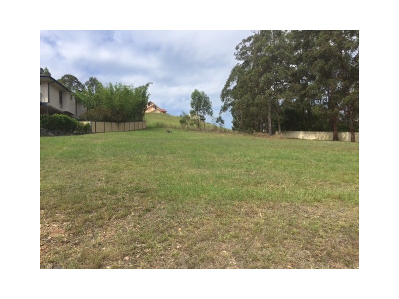 19 Hilltop Parkway, Tallwoods Village NSW 2430