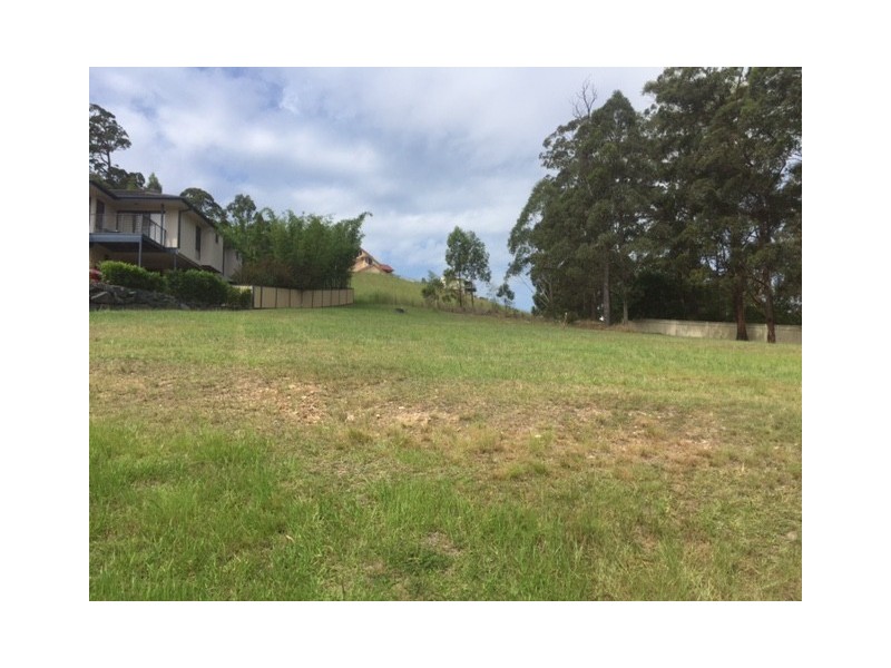 19 Hilltop Parkway, Tallwoods Village NSW 2430