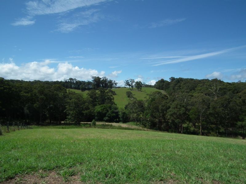 6 Torside Close, Tallwoods Village NSW 2430