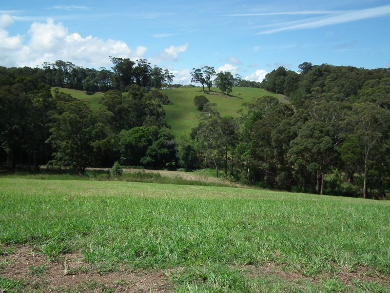 6 Torside Close, Tallwoods Village NSW 2430