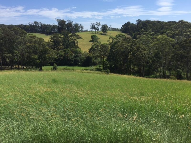 6 Torside Close, Tallwoods Village NSW 2430