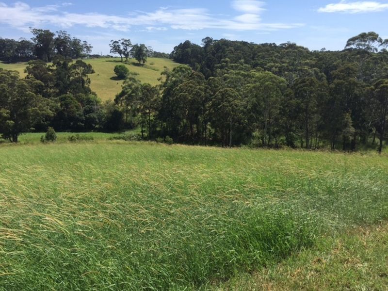 6 Torside Close, Tallwoods Village NSW 2430