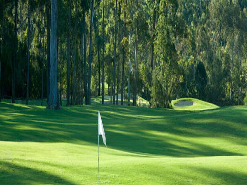 724 The Fairway, Tallwoods Village NSW 2430