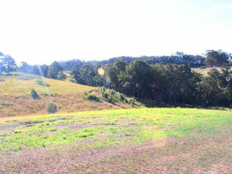 18 Ellen Close, Tallwoods Village NSW 2430