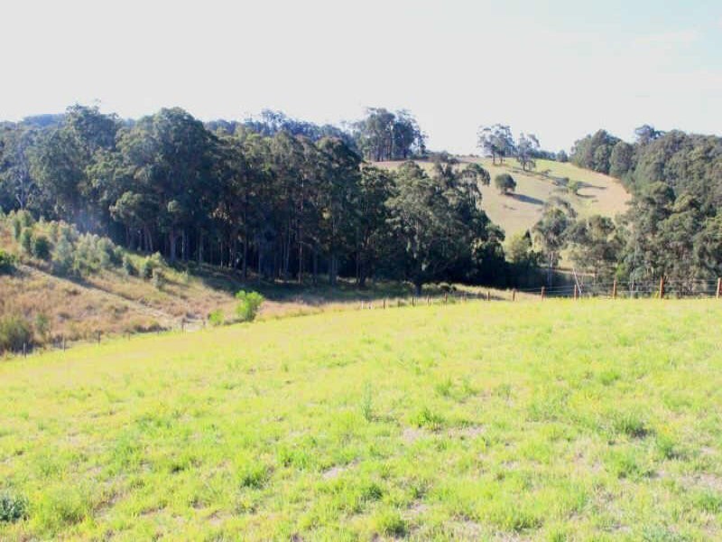 18 Ellen Close, Tallwoods Village NSW 2430