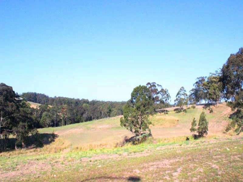 16 Ellen Close, Tallwoods Village NSW 2430