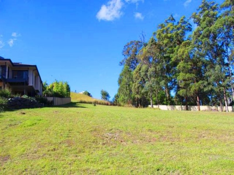 19 Hilltop Parkway, Tallwoods Village NSW 2430