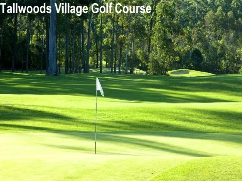 3 The Pulpit, Tallwoods Village NSW 2430