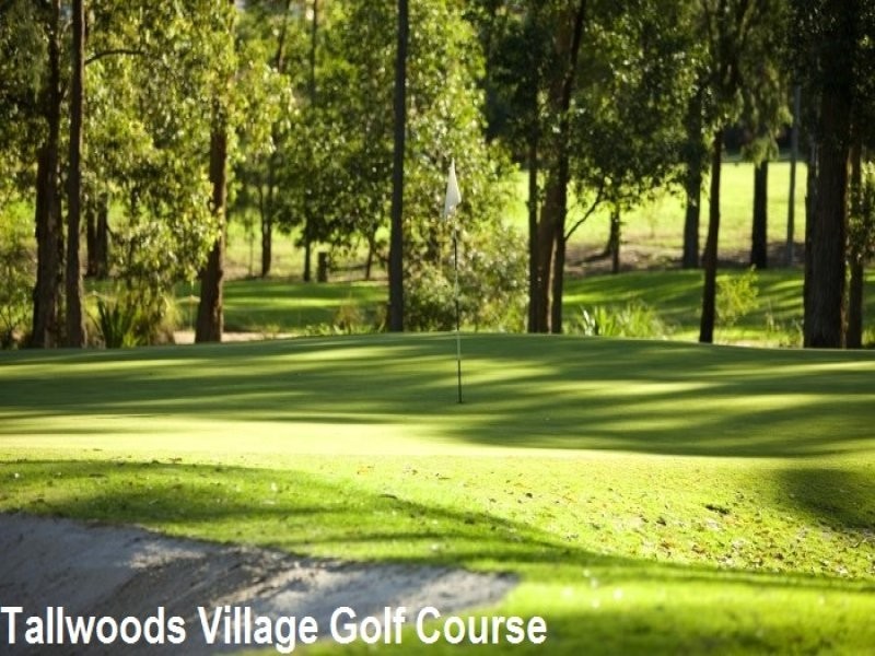 3 The Pulpit, Tallwoods Village NSW 2430