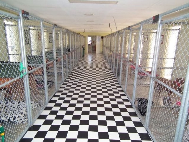 86 James Cowan Road, Krambach NSW 2429