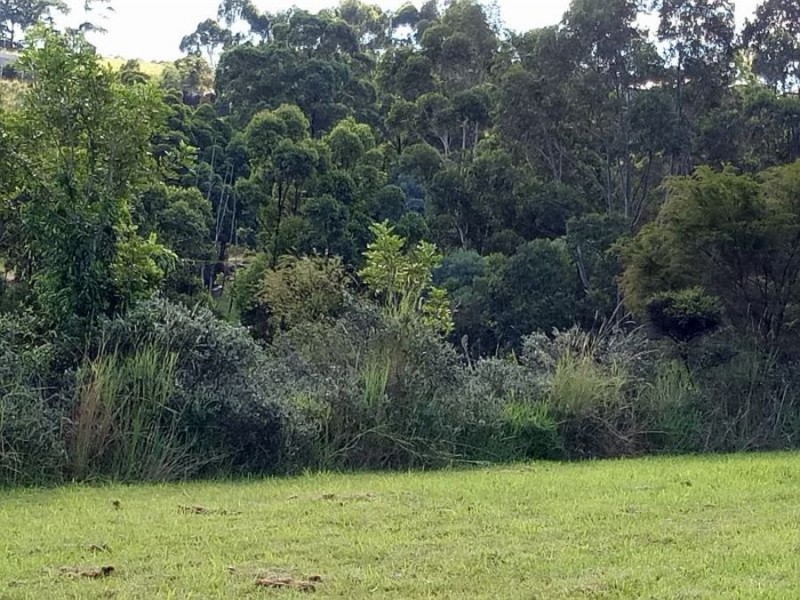 Lot 34 Bottlebrush Lane, Tallwoods Village NSW 2430