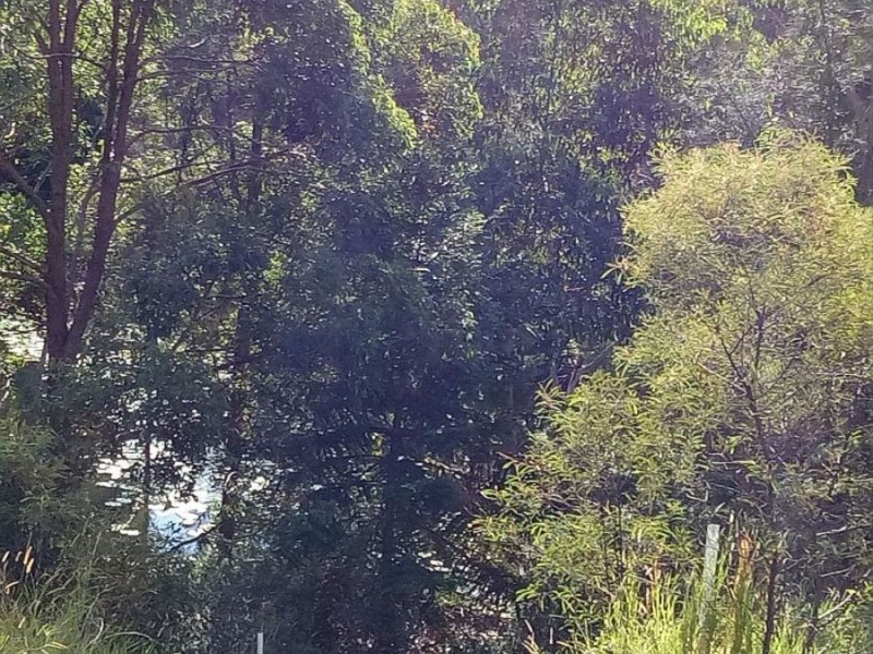 Lot 34 Bottlebrush Lane, Tallwoods Village NSW 2430