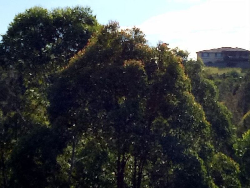 Lot 34 Bottlebrush Lane, Tallwoods Village NSW 2430