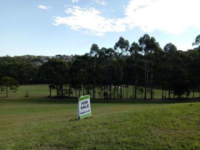 Lot 22 Golden Wattle Way, Tallwoods Village NSW 2430