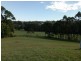 Lot 22 Golden Wattle Way, Tallwoods Village NSW 2430
