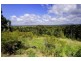 9 The Links, Tallwoods Village NSW 2430
