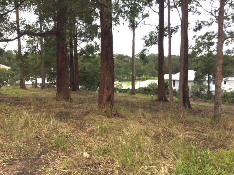 15 The Boulevarde, Tallwoods Village NSW 2430