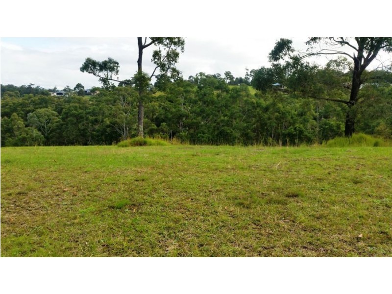 17 The Saddle, Tallwoods Village NSW 2430