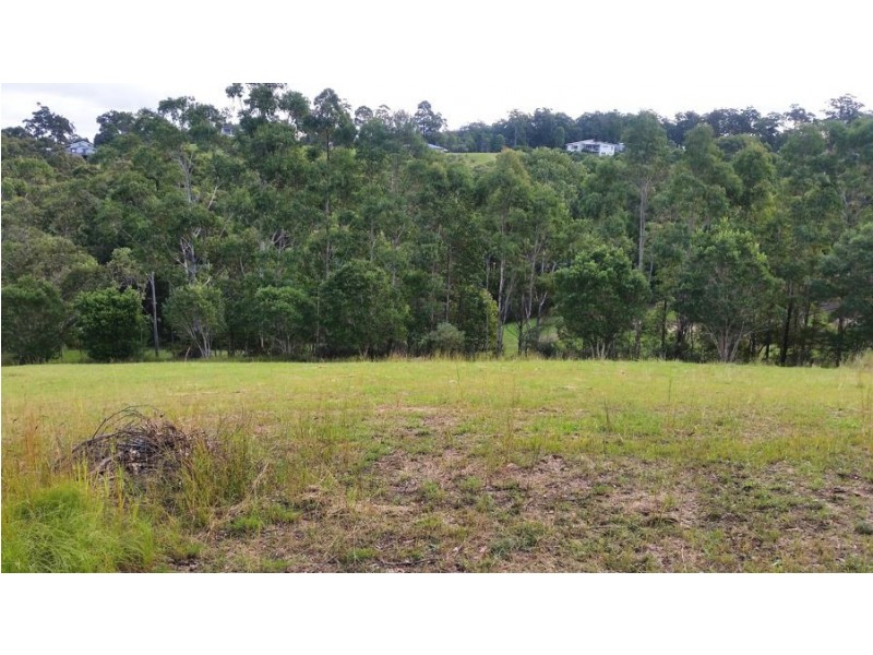 17 The Saddle, Tallwoods Village NSW 2430