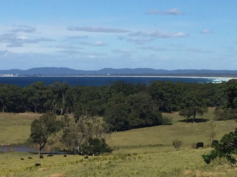 48 High Street, Black Head NSW 2430