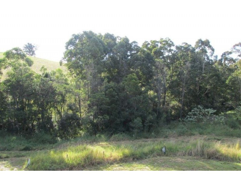 9A Creekline Crescent, Tallwoods Village NSW 2430