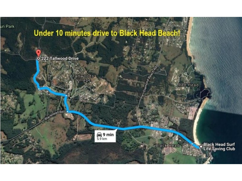 222 Tallwoods Drive, Tallwoods Village NSW 2430