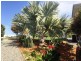17 Coastal View Drive, Tallwoods Village NSW 2430