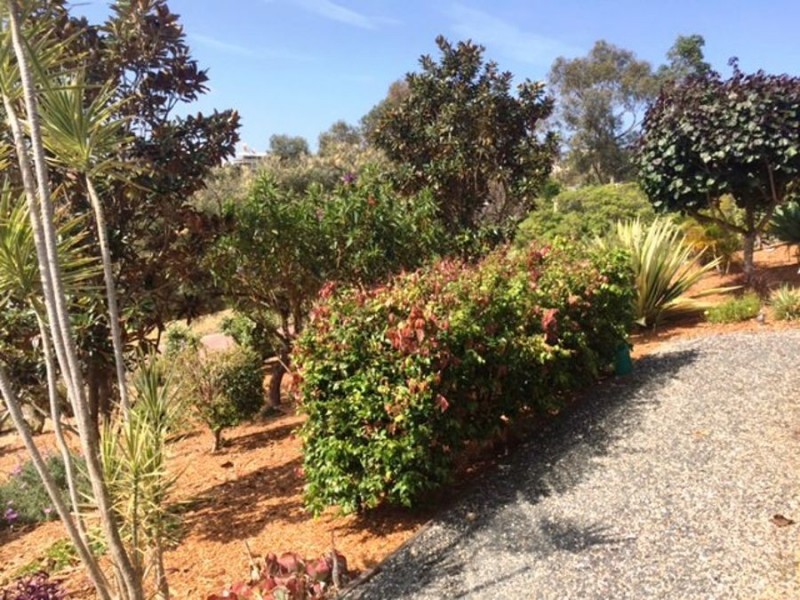 17 Coastal View Drive, Tallwoods Village NSW 2430