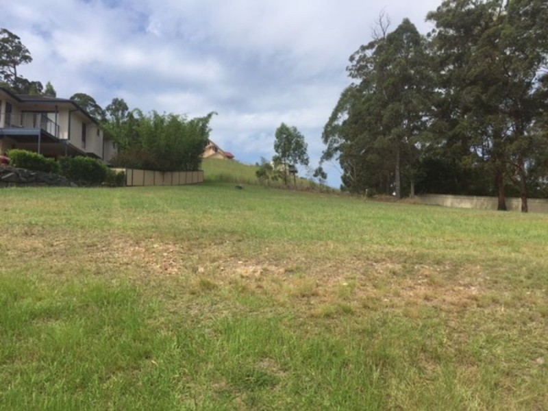 19 Hilltop Parkway, Tallwoods Village NSW 2430