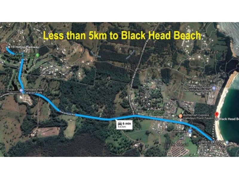 19 Hilltop Parkway, Tallwoods Village NSW 2430