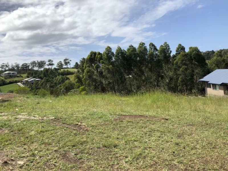 59 Hilltop Parkway, Tallwoods Village NSW 2430