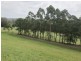 5 Golden Wattle Way, Tallwoods Village NSW 2430