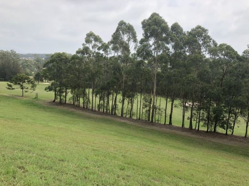 5 Golden Wattle Way, Tallwoods Village NSW 2430