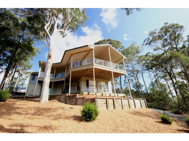 46 Hilltop Parkway, Tallwoods Village NSW 2430