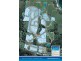 Lot 506 Red Head, Red Head NSW 2430