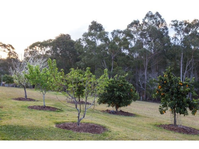 12 Kiwarrak Drive, Rainbow Flat NSW 2430
