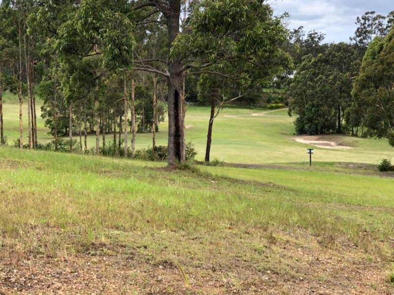 24 The Saddle, Tallwoods Village NSW 2430